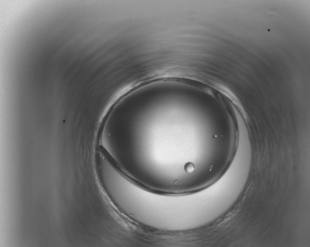 X0000067501146200604150101