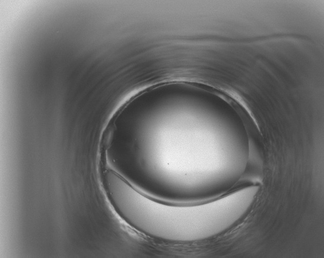 X0000067501147200604150101