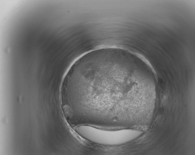 X0000067501148200604150101