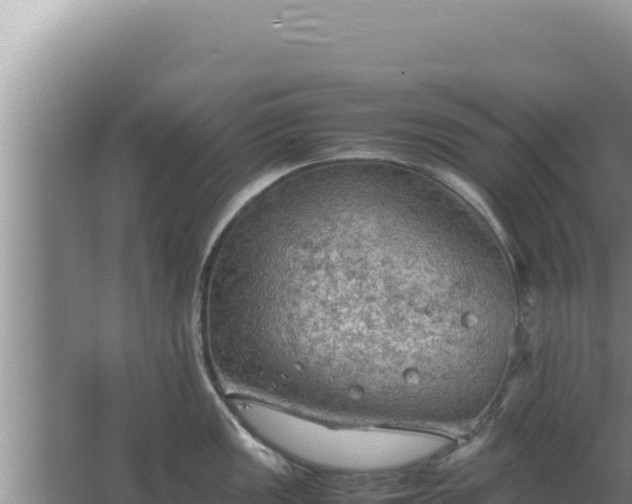 X0000067501149200604150101