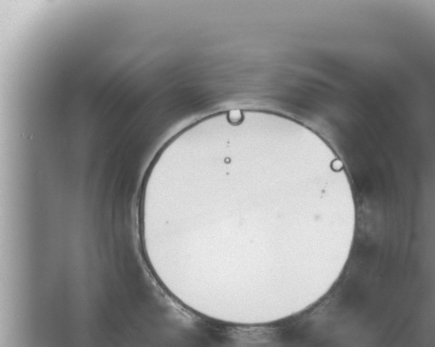 X0000067501150200604150101