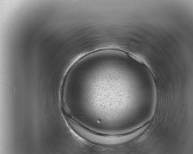 X0000067501151200604150101