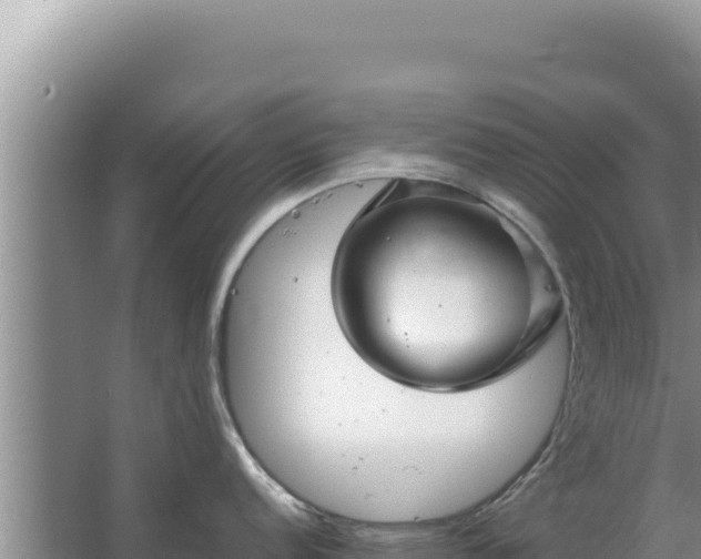 X0000067501152200604150101