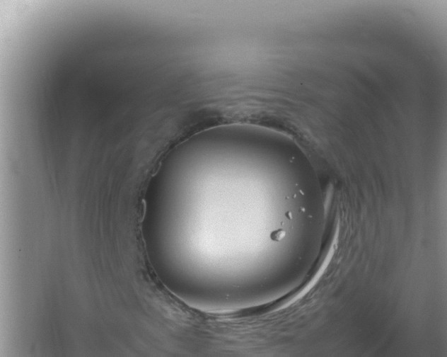 X0000067501153200604150100