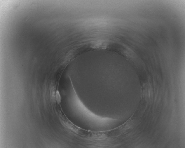 X0000067501154200604150100