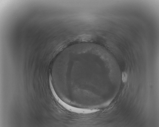 X0000067501155200604150100