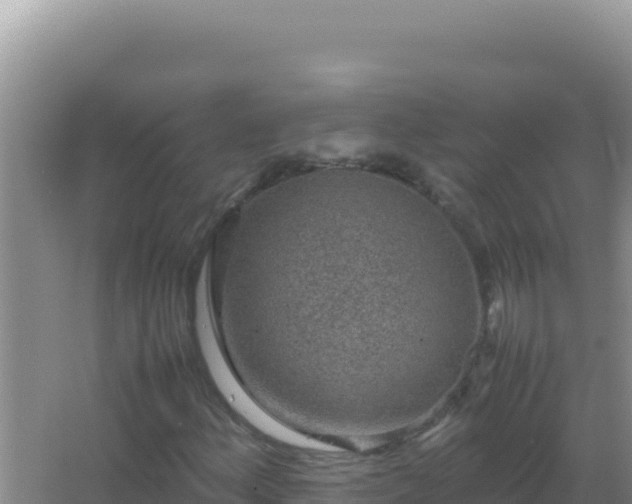 X0000067501156200604150100