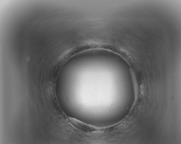 X0000067501157200604150100