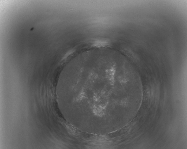 X0000067501158200604150100