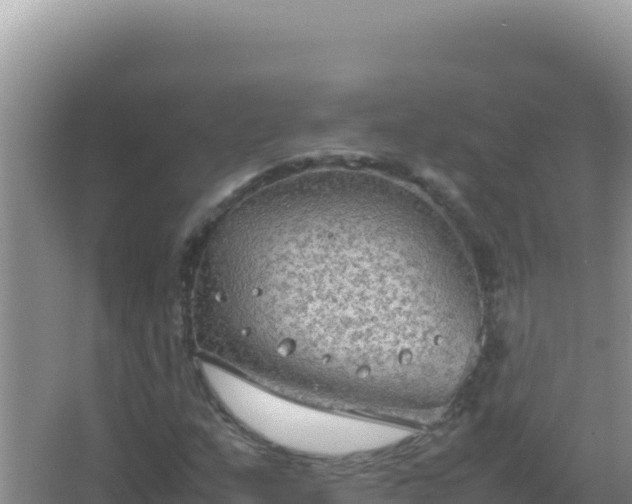 X0000067501159200604150100