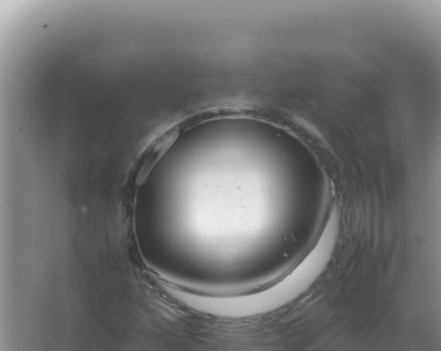 X0000067501160200604150100