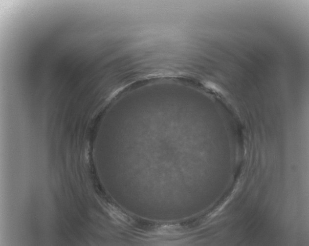 X0000067501161200604150100