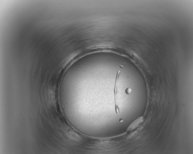 X0000067501162200604150100