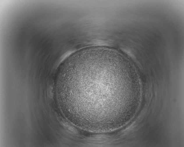 X0000067501163200604150100