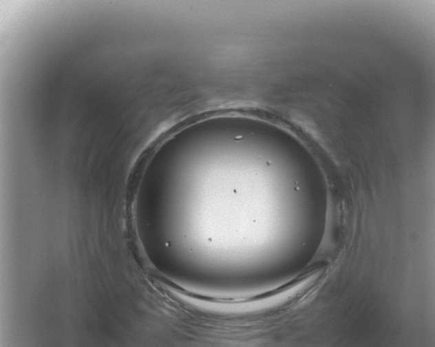 X0000067501165200604150100