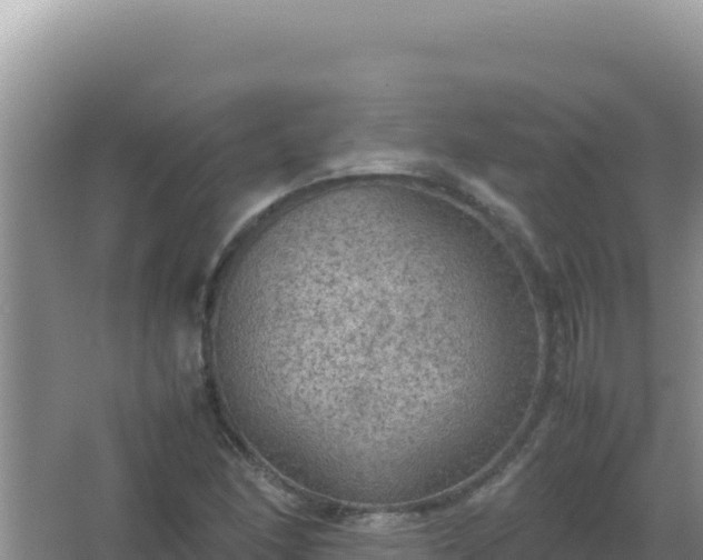 X0000067501166200604150100