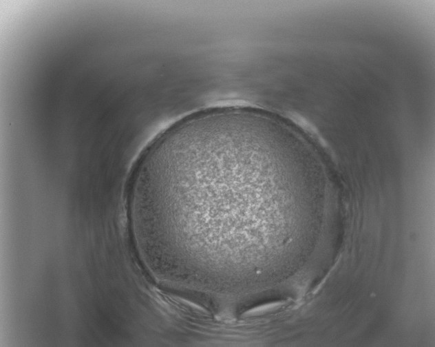 X0000067501167200604150100