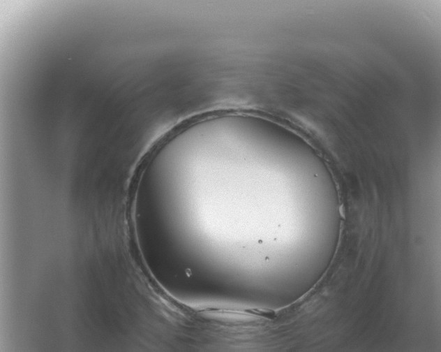 X0000067501168200604150100