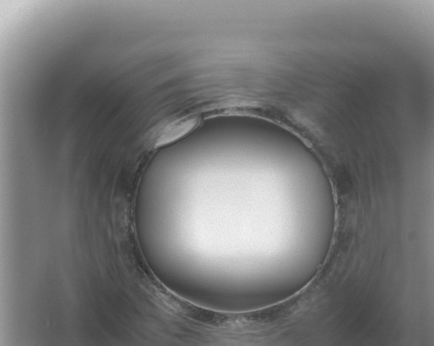 X0000067501169200604150100