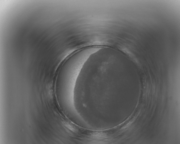 X0000067501170200604150100