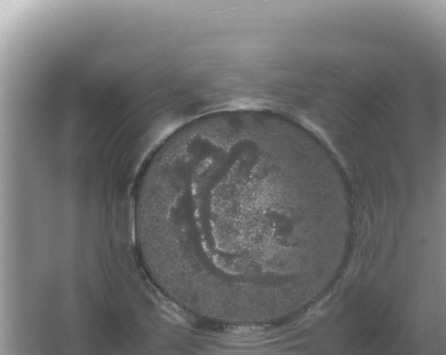 X0000067501171200604150100