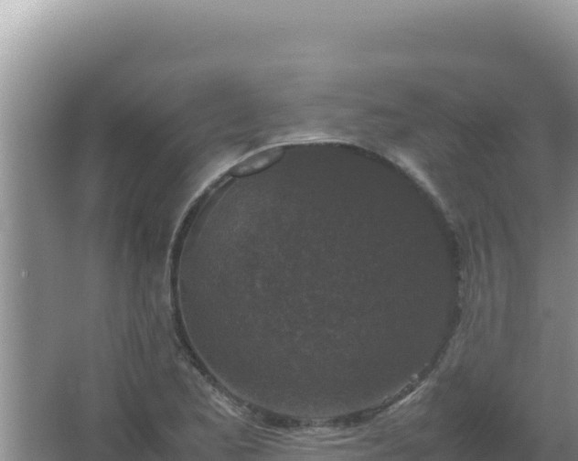 X0000067501173200604150100