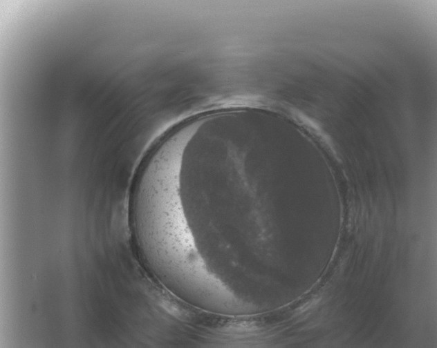 X0000067501174200604150100