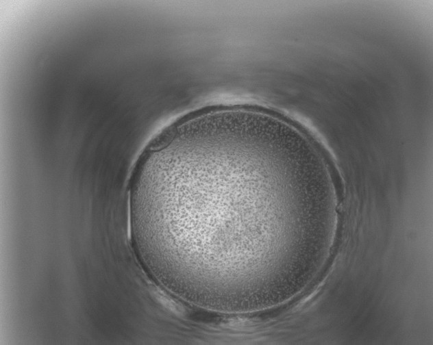 X0000067501175200604150100