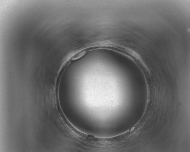 X0000067501176200604150100