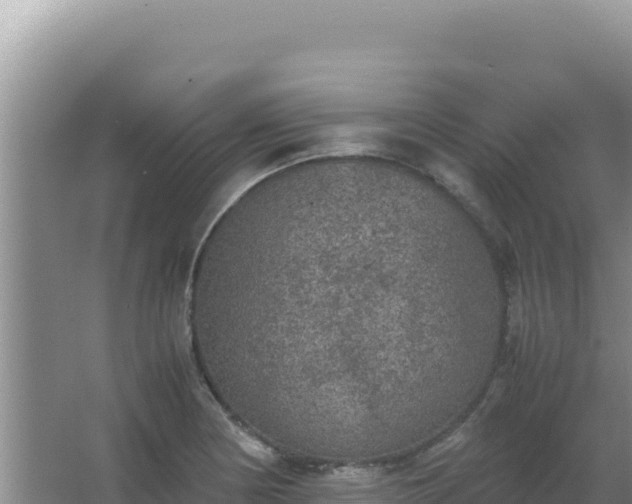 X0000067501178200604150100