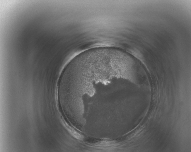 X0000067501179200604150100