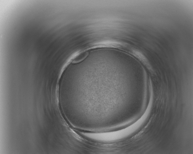 X0000067501180200604150100