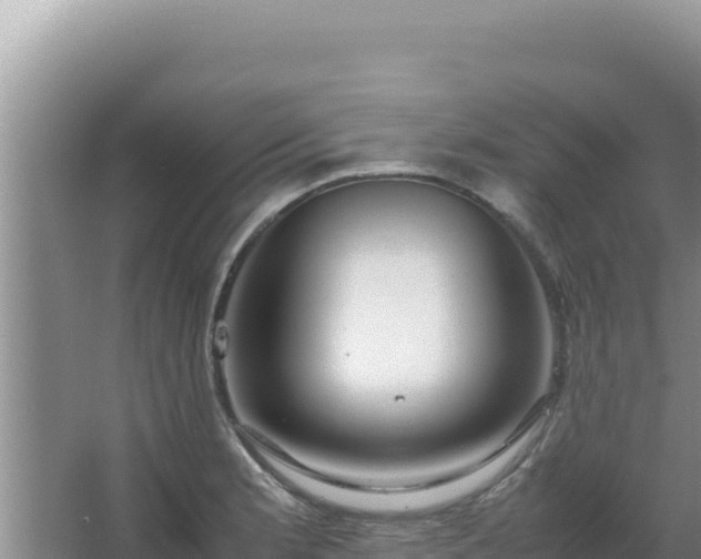 X0000067501181200604150100