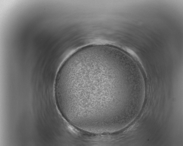 X0000067501183200604150100