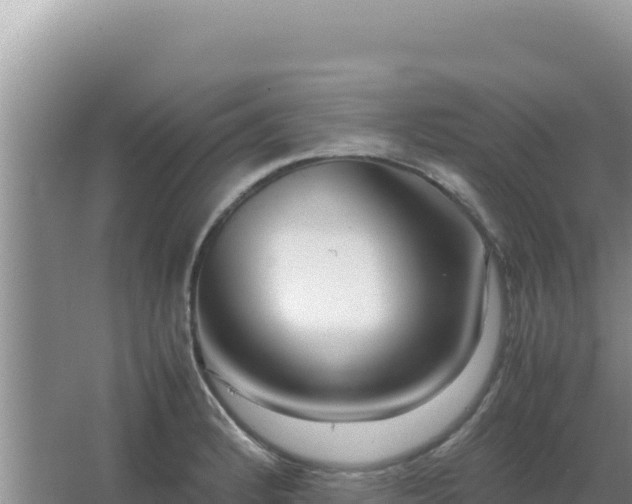 X0000067501184200604150100