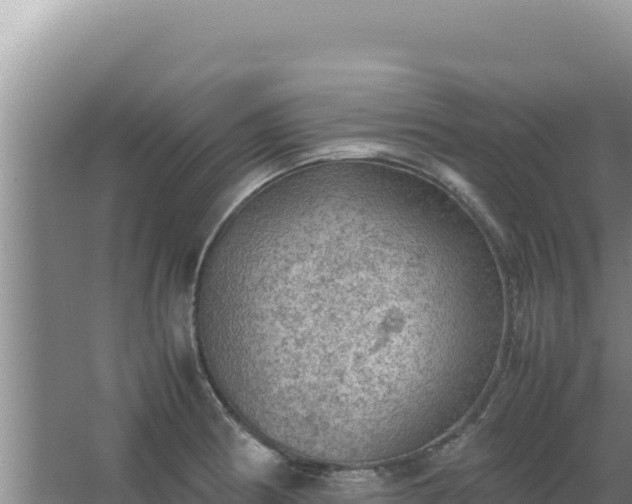 X0000067501186200604150100