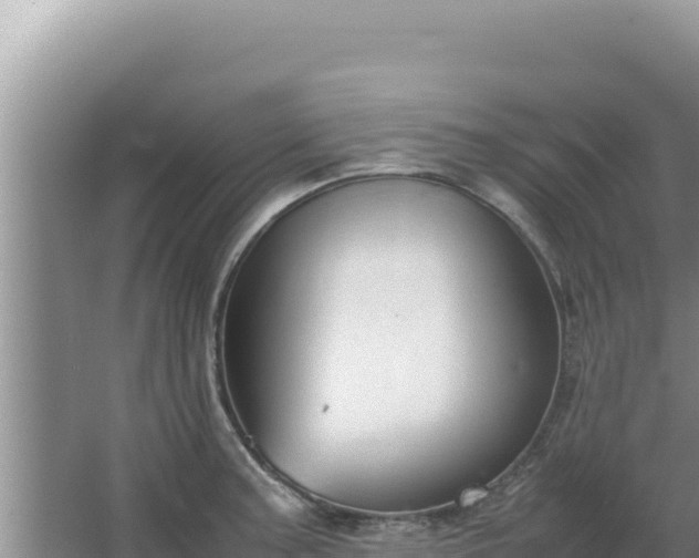 X0000067501187200604150100