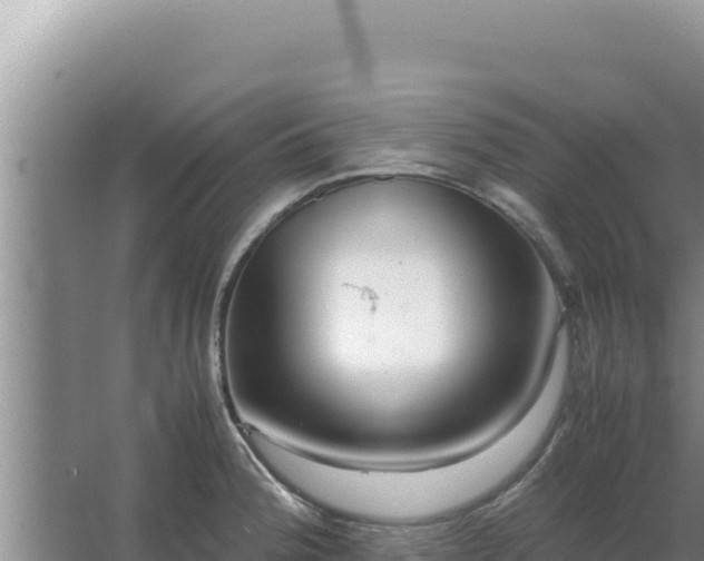 X0000067501188200604150100