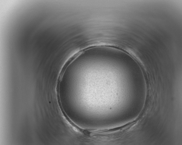 X0000067501189200604150100