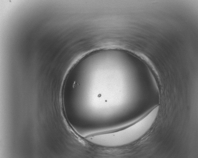 X0000067501191200604150059