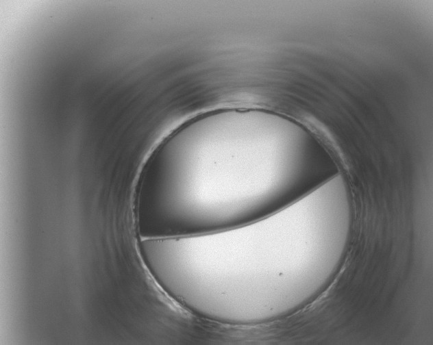 X0000067501192200604150059