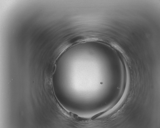 X0000067501193200604150059