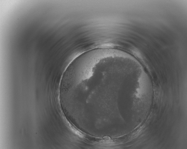 X0000067501194200604150059