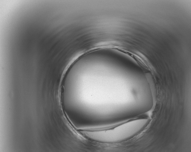 X0000067501196200604150059