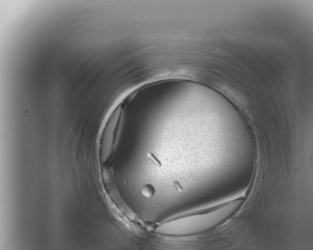 X0000067501200200604150059