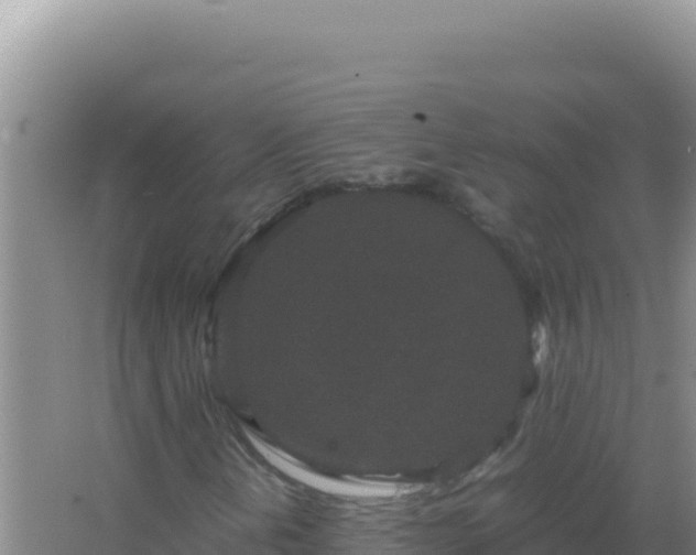 X0000067501202200604150059