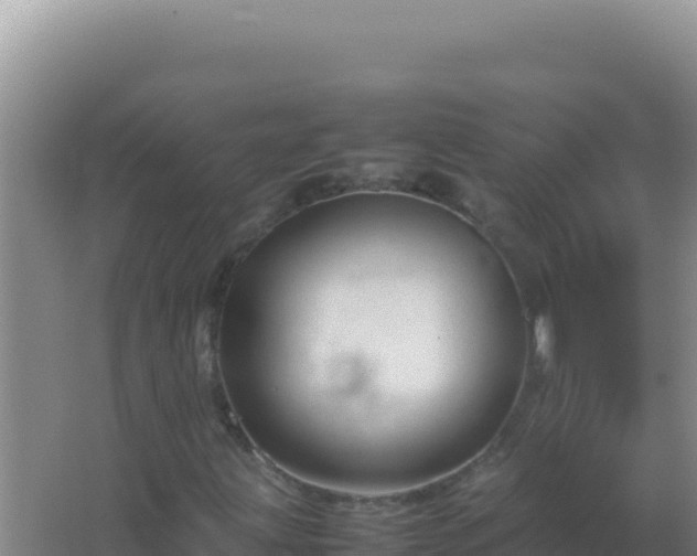 X0000067501203200604150059