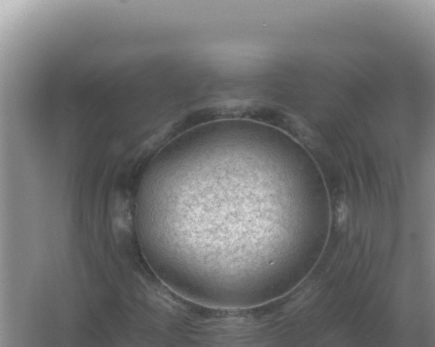 X0000067501204200604150059