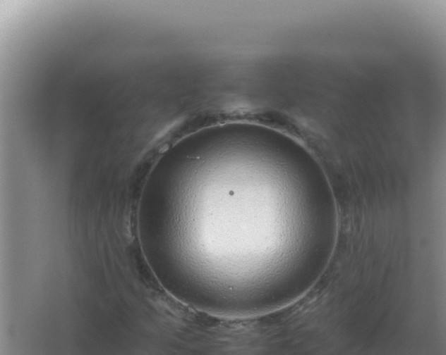 X0000067501205200604150059