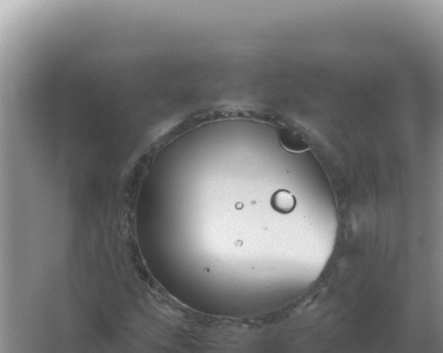 X0000067501207200604150059